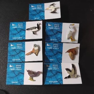 rspb badges: water birds on giving nature a home cards