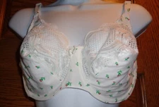 Vintage Warners Cotton Kisses Bra 36D Floral
