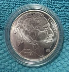 2013 Buffalo Indian Head Nickel Design 1oz .999 Silver Art Round