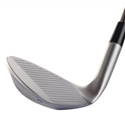 KASCO GOLF JAPAN 2023 DOLPHIN WEDGE DW-123 NS PRO 950GH neo Steel