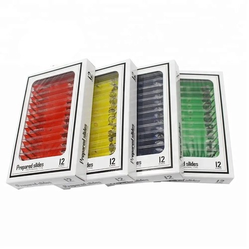 48Pcs Plastic Prepared Microscope Slides Specimen Enlighten Education