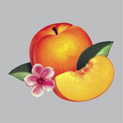 Phoenix Bankrupt! (CD) Deluxe  Album (UK IMPORT)