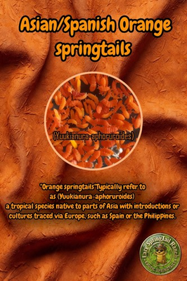 #ad Live Orange Springtails 100 L.A.G $24.99