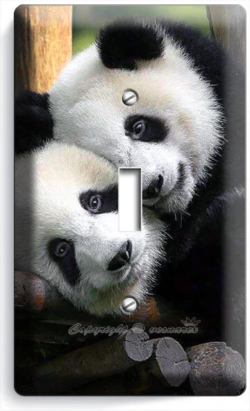 Cute Baby Panda Bears