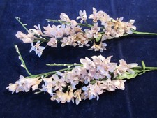 Vintage Millinery Flower 3" Blooms Hot Pink Purple Tropical Ginger Stem Z53a