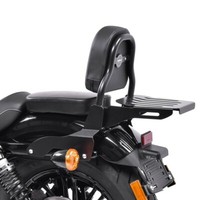 Sissy Bar CSS Fix FüR Harley Davidson Sportster 1200 Nightster 08-12 GepäCkträGe