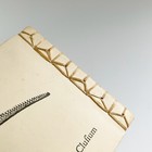 Afbeelding 4 van 12