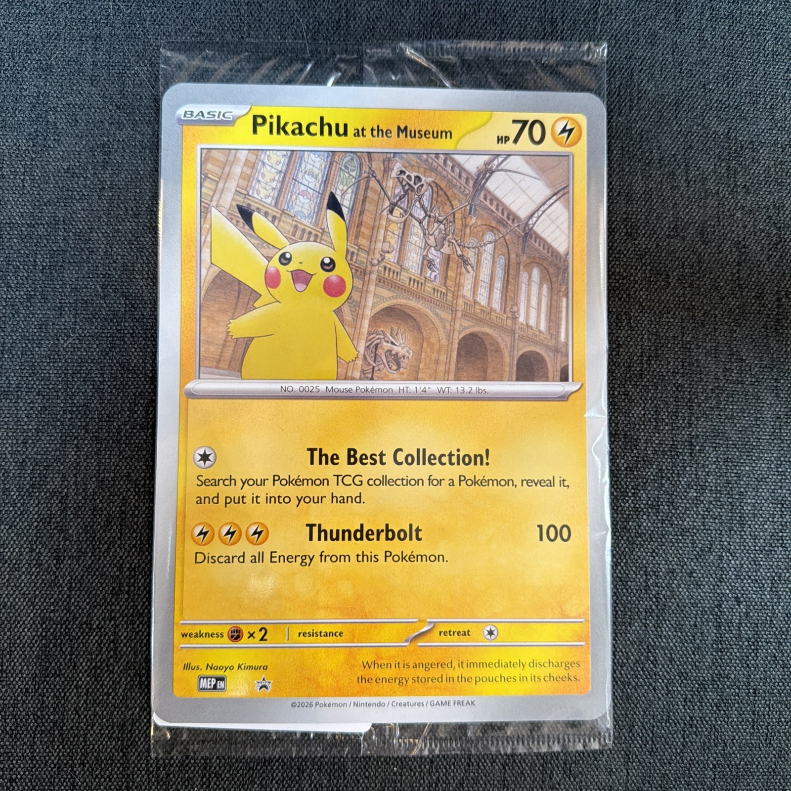 Pikachu At The Museum OVERSIZED Promo Card - Natural History Museum - SEALED 