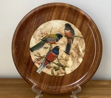 Vintage 1940’s Mahogany Glazed Plate Decor Crackled 14” Nature Art Trogan Birds