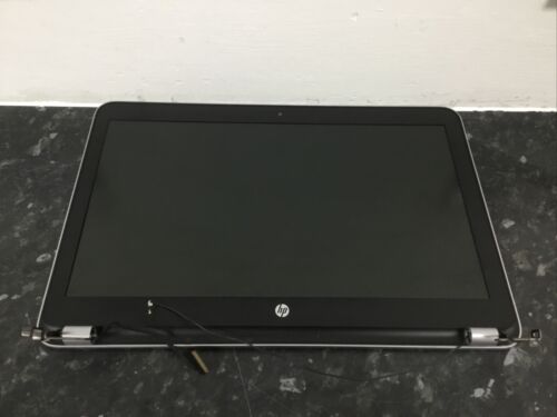 Assemblage d'écran LCD HP Probook 455 G4 15,6 pouces avec webcam et charnières en parfait état de fonctionnement - Photo 1 sur 12