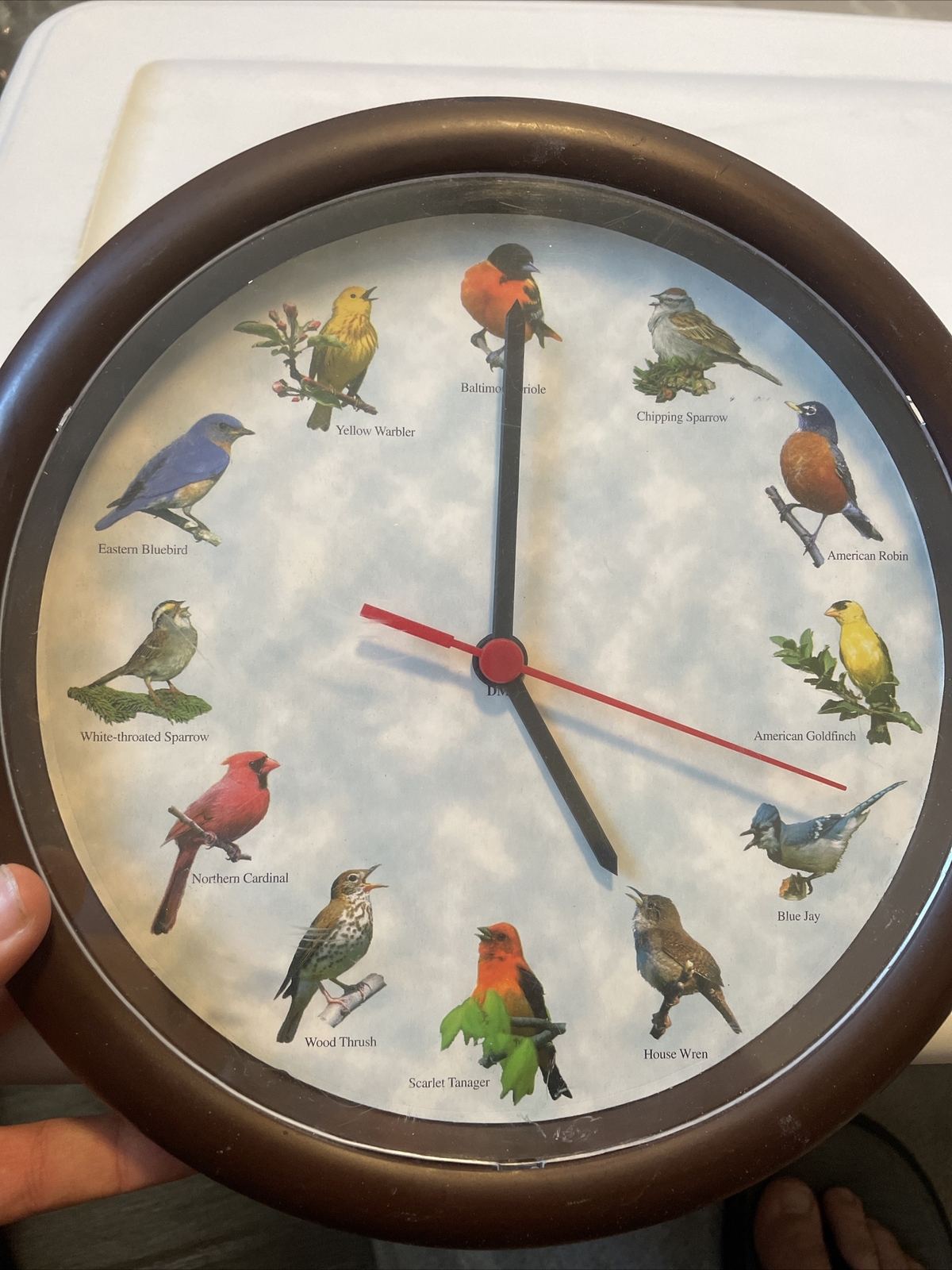 Bird Clock eBay