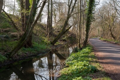 Photo 6x4 Bank and Stream beside East Lane, Ovington Ovington/SU5631 I t c2011