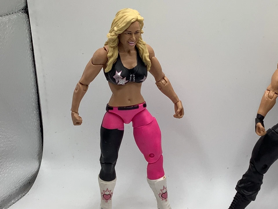 2013 WWE Kaitlyn / 2012 Natalya / 1999 WCW Referee Mattel Toy Biz Wrestling - Image 4 of 4