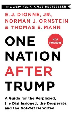 One Nation After Trump E. J. Dionne Taschenbuch Kartoniert / Broschiert Englisch