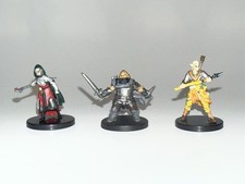 Official painted DND Character Miniatures