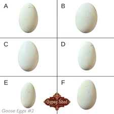 6 Empty VTG Blown Goose Eggs Blown White Shell Pysanky Butterk Easter Two Hole