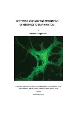 Identifying and Targeting Mechanisms of Resistance to BRAF Inhibitors by Mahamat