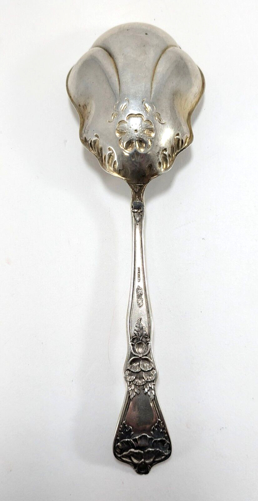 Picture 2
