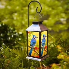 Solar Lanterns Outdoor Hanging Blue Jay Solar Lights Decorative for Garden Pa...