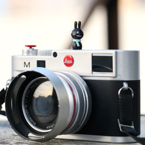Shoe Cap Shoe Protection Camera Trim Bunny for Sony Fujifilm Canon Nikon Leica - 第 15/26 張圖片