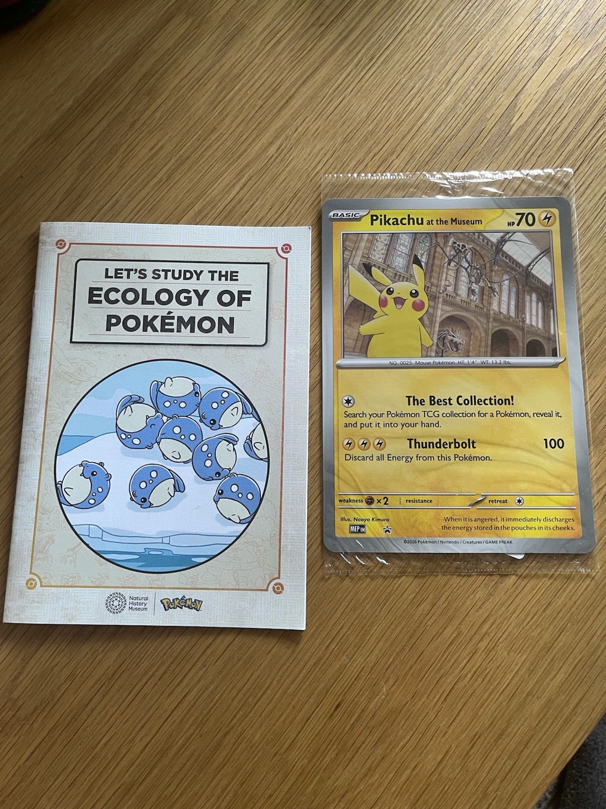 NEW AND SEALED Pikachu At The Museum Card + Activity Booklet