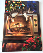 Christmas Card Avanti Cat Laying on Warm TV with Fireplace Warm Wishes