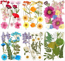 72 Pcs Dried Pressed Flowers for Resin Molds Real Pressed Flowers Dry Leaves Bul
