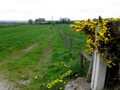Foto 6x4 Doons Townland Drumshanbo\/H7378 Blick SSW von Doons Road c2014