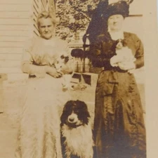 Antique Photo Women With Cute Puppies Dog Beautiful Dress Fashion Hat Retro Pets