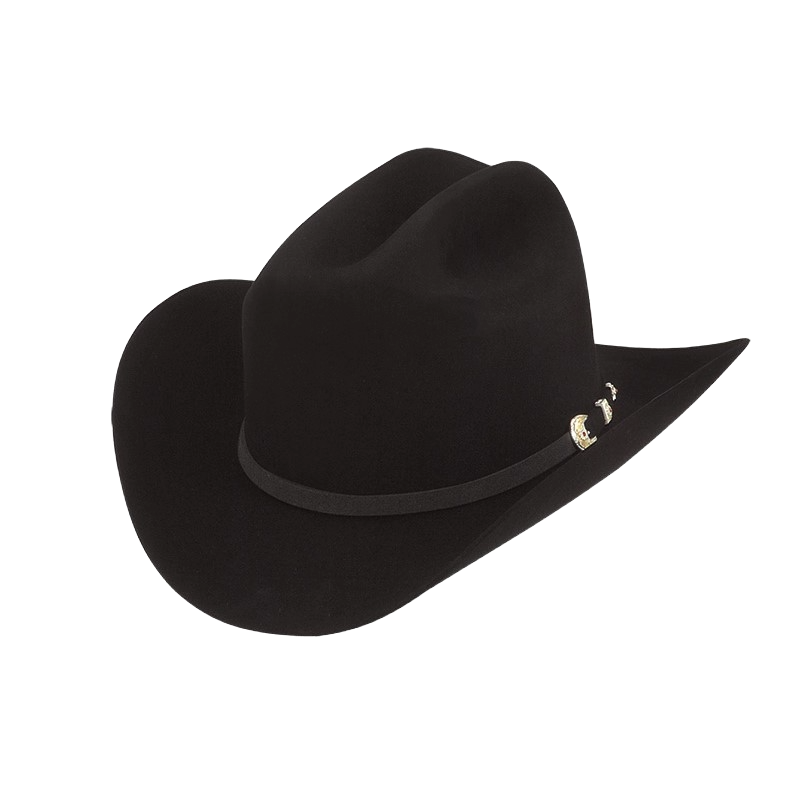 Larry Mahan 6X Felt Western Black Cowboy Hat MF0665REAL40 | eBay display picture 1