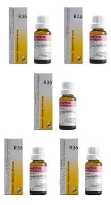 Dr. Reckeweg R36   Nervous System Support Drops   22ml × 5 Bottles Free ship