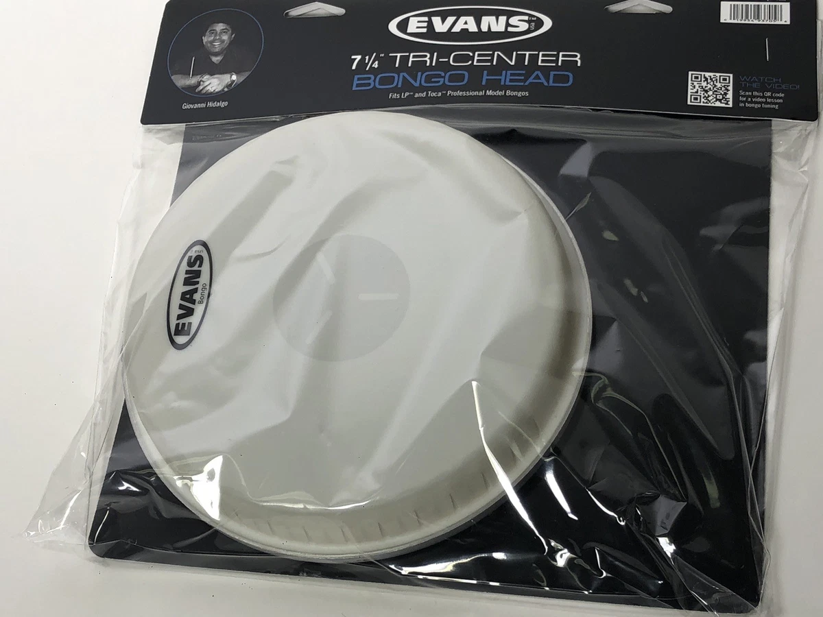 Evans 2024 bongo heads