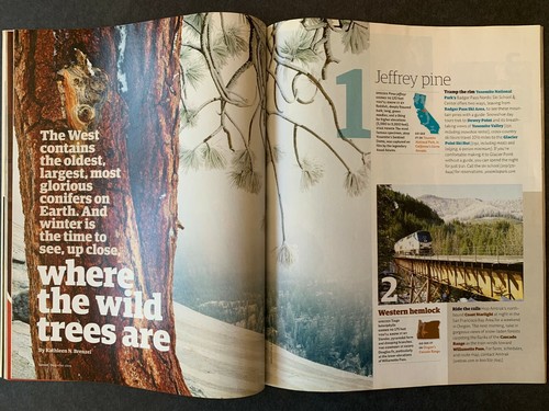 Sunset Magazine December 2009 2000's Lifestyle Travel Recipes Gardening Ads - Bild 8 von 10