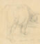 miniature 1  - Frank Griffith (1889-1979) - 1933 Graphite Drawing, Study of a Bull, Barrington