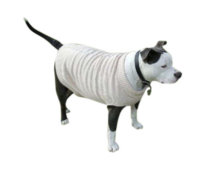 turtle necks for dogs