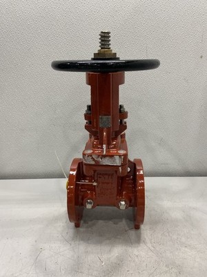 FNW Ductile Iron Flanged Fire Main Gate Valve 3'' FNW 751M