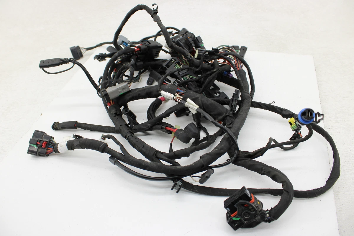 18 20 Harley Davidson Softail Street Bob Fxbb Main Engine Wiring