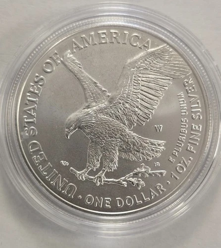 2024 W 1 ozt, 999 pure American Silver Eagle, UNCIRCULATED coin (H8X8)
