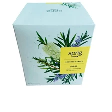 Sprig Scented Candle Tea Tree and Rosemary Sheild Candle by Kohler