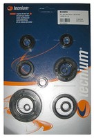 Tecnium Satz Motor-Simmerringe FüR Yamaha YZ 250 (CG17) 2004