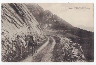 CPA 65 DIE PYRENÄEN Pyrenäenbauer und sein Pferd von animierter Ausflug