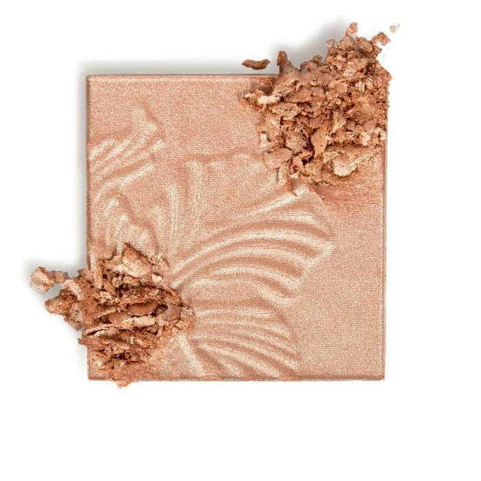 Megaglo highlighter 2024 wet n wild