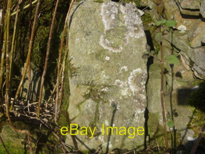 Foto 6x4 Nahaufnahme des grauen Pferdes Grenzstein, mit Bankmarkierung Cray um 2007