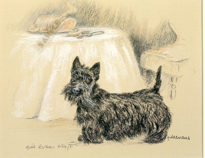 Scottie Scottish Terrier Limited Ed Art Print UK Artist Gill Evans LAST  Matted