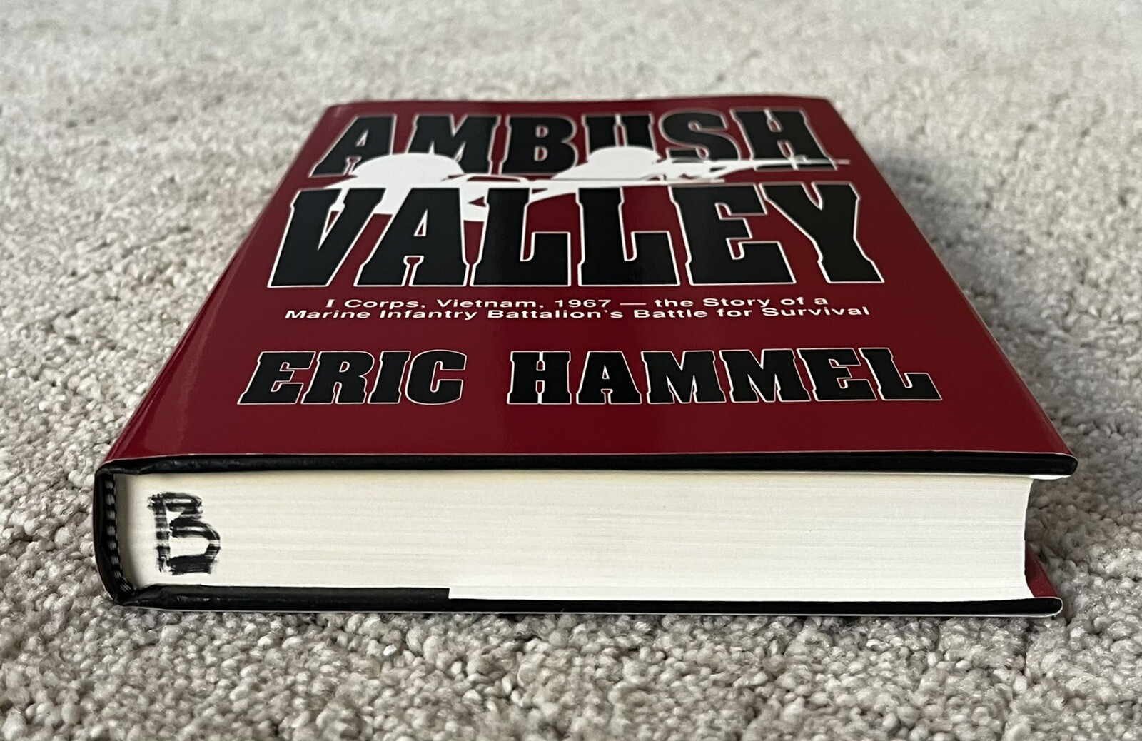 AMBUSH VALLEY By Eric Hammel 9780891413653 eBay