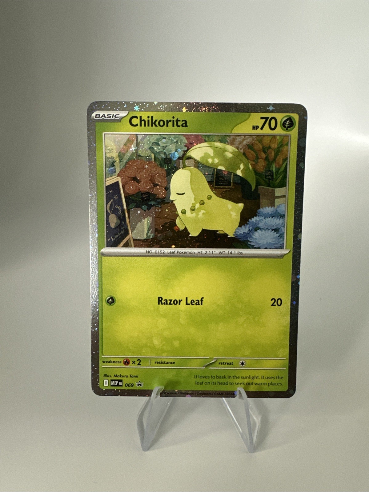 Pokémon TCG Chikorita Black Star Promo MEP 069 NM Card