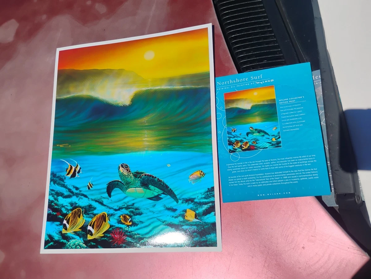 ロバート・ワイランド『ガイディングライト S』ミクストメディア 1121E Wyland Art Paintings for sale | eBay