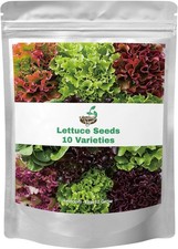20,000 Heirloom Lettuce Seed Collection 10 Varieties Garden Planting Kit