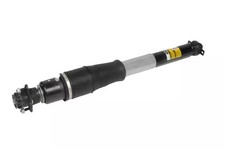 Genuine Gm Rear Driver Side Air Lift Shock Absorber 19300025