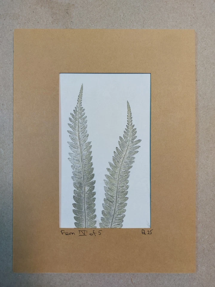 Helecho arte monoimpresión fronda mate único en su clase Foto 2 de 3